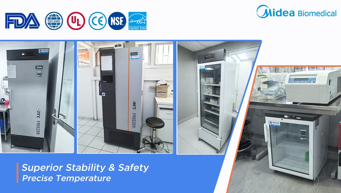 Securing the Future of Aquaculture: A Q&A with a Leading Chilean Fisheries Lab