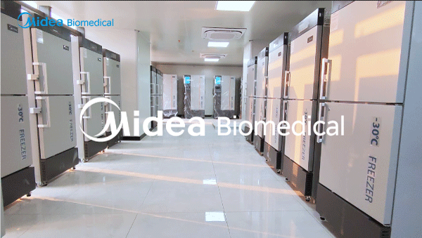 Midea Biomedical Delivers Critical Cold Storage Units to Hospital for Biobank Construction